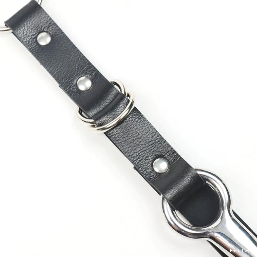 Collar Anal with 5853 Hook Kinky Leash EverydayUse and 0717